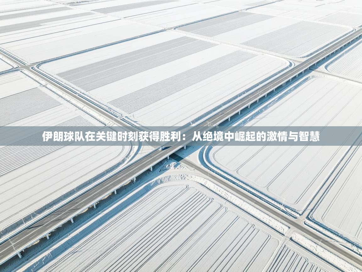 伊朗球队在关键时刻获得胜利：从绝境中崛起的激情与智慧  第1张