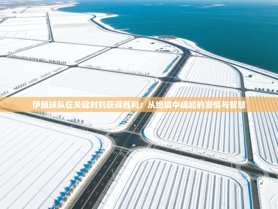 伊朗球队在关键时刻获得胜利：从绝境中崛起的激情与智慧  第2张