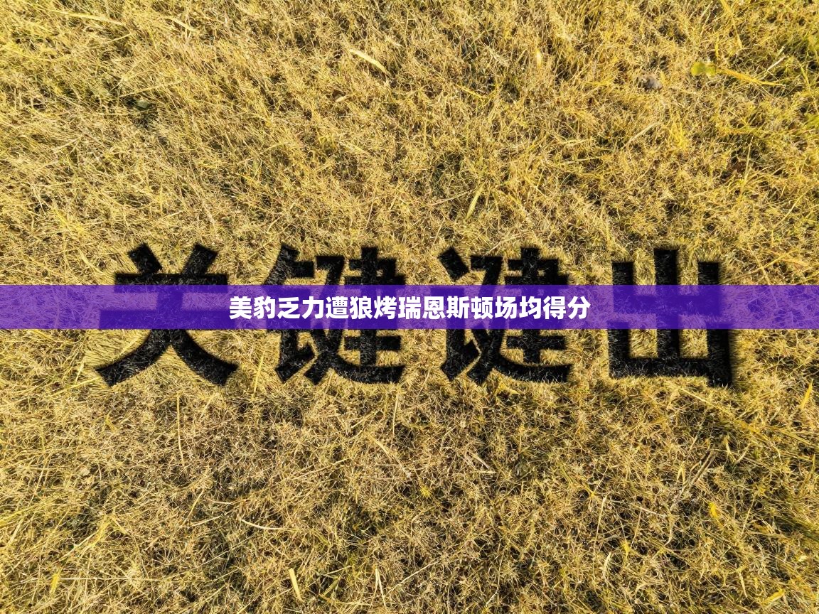 美豹乏力遭狼烤瑞恩斯顿场均得分  第1张