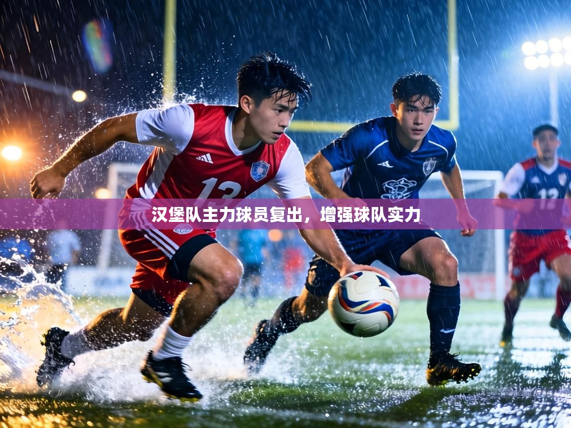 汉堡队主力球员复出,增强球队实力 第1张