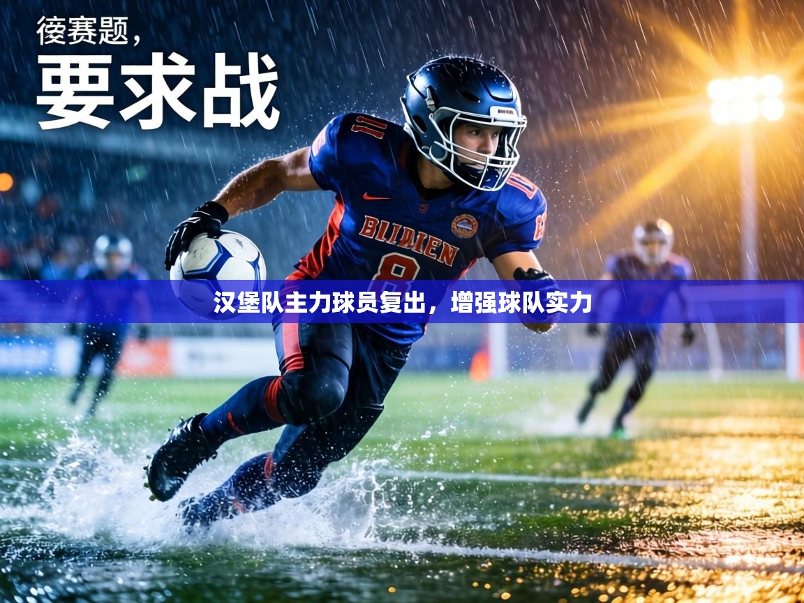 汉堡队主力球员复出,增强球队实力 第2张
