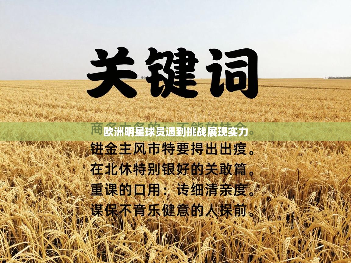 欧洲明星球员遇到挑战展现实力 第2张
